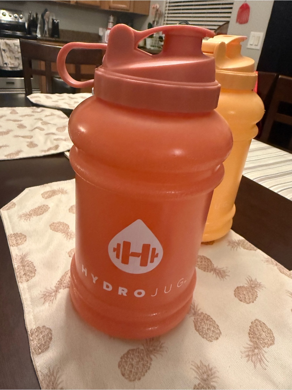 HydroJug Coral water jug